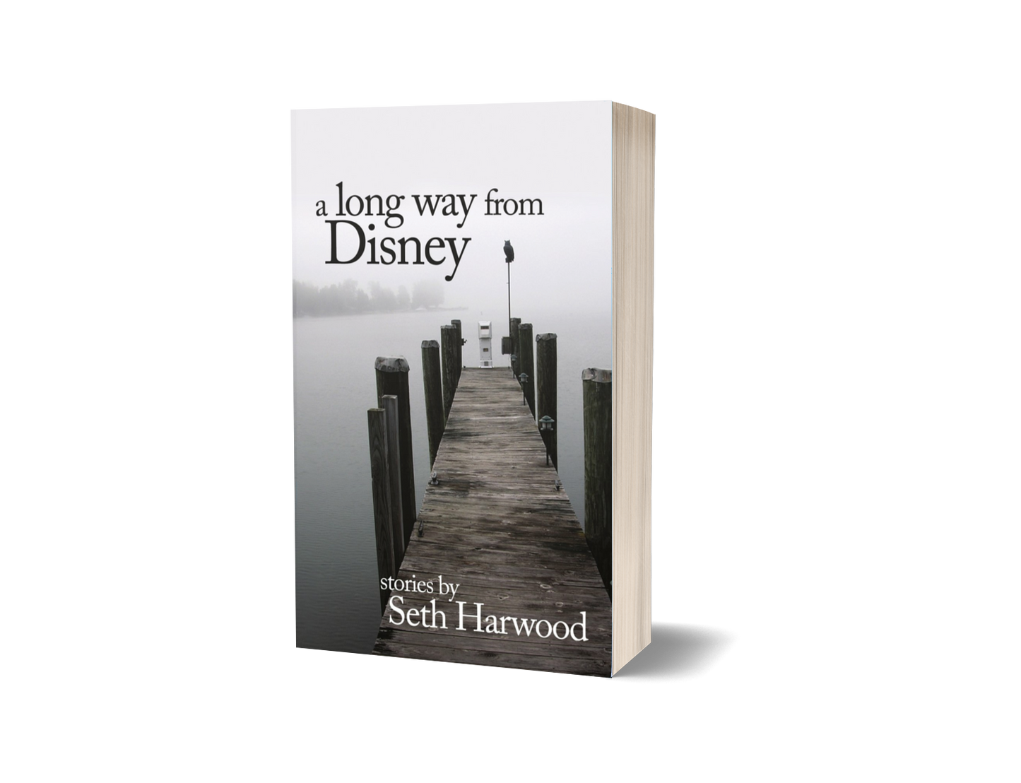 A Long Way from Disney - Paperback