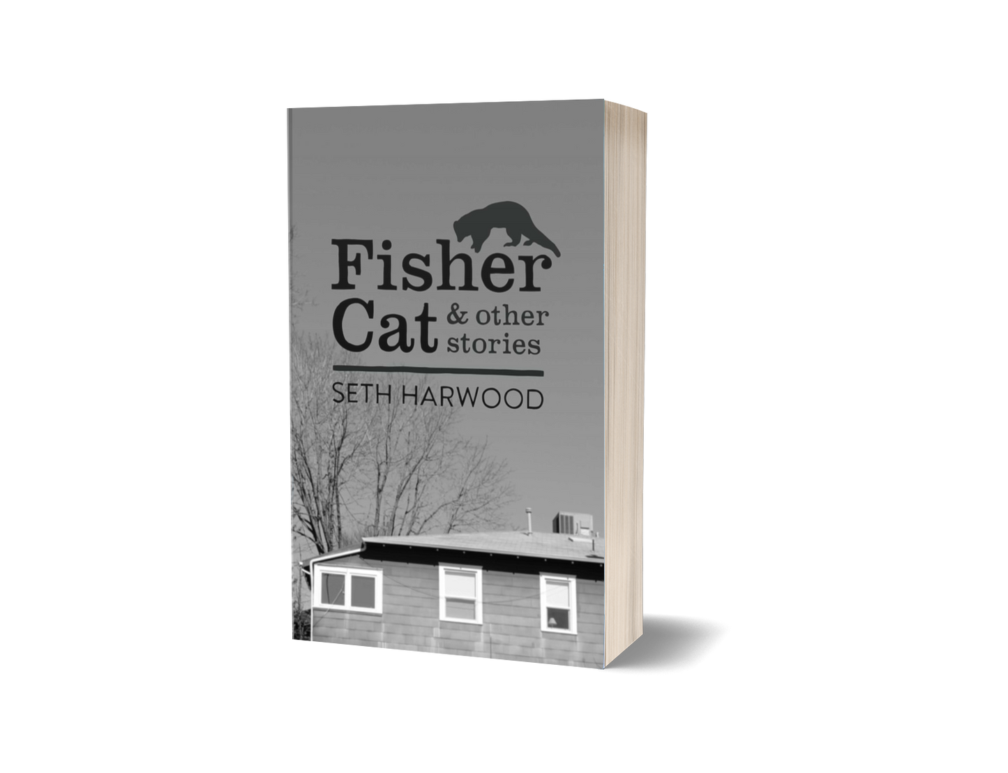 Fisher Cat and other stories - Paperback