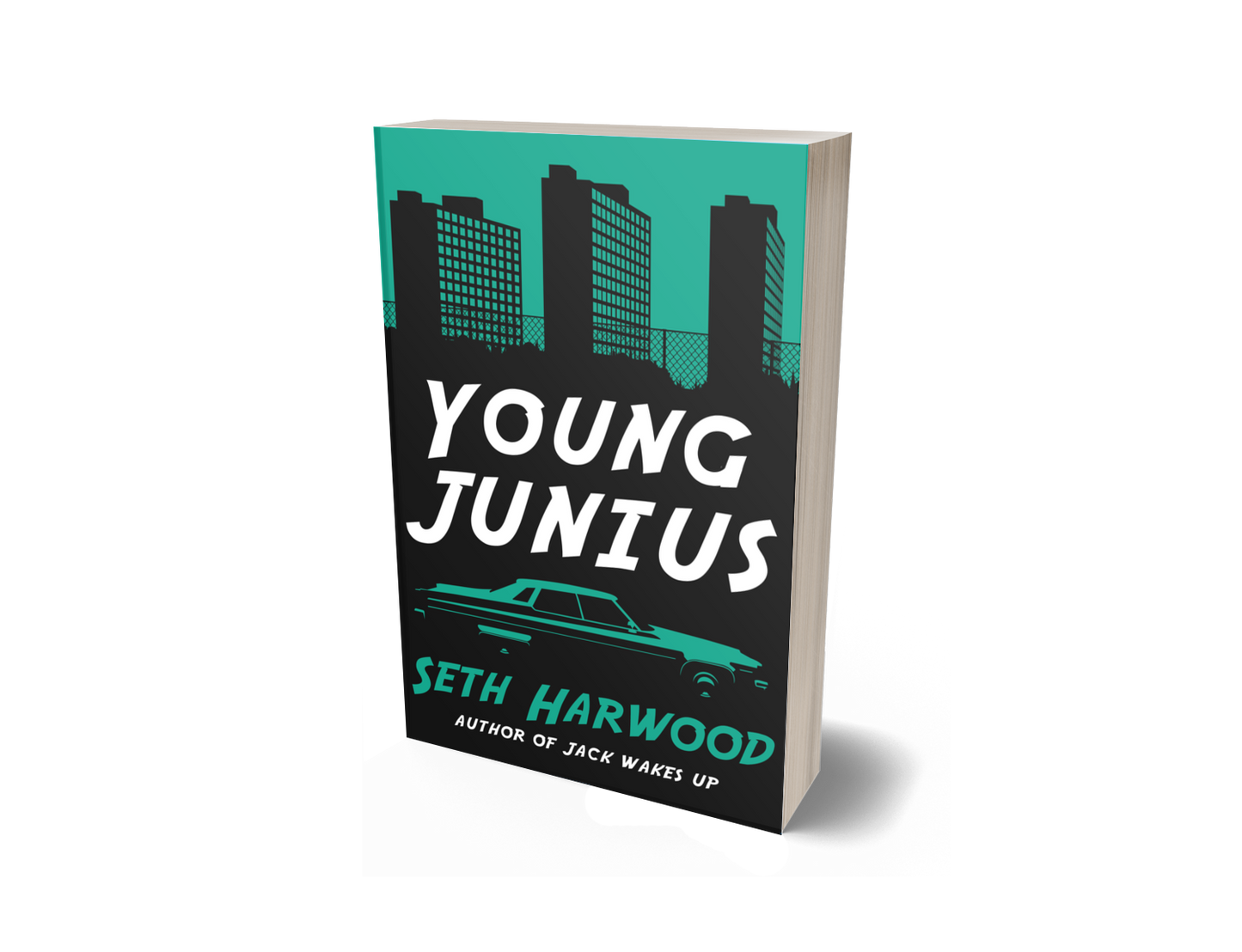 Young Junius - A Jack Palms Prequel - Paperback